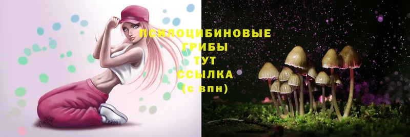 OMG зеркало  Кумертау  Галлюциногенные грибы Magic Shrooms 